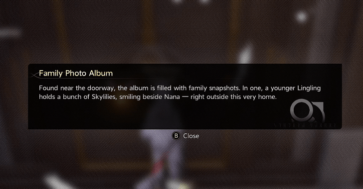 Family Photo Album  - Duet Night Abyss