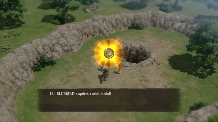 Wooded Hill Mini Medal