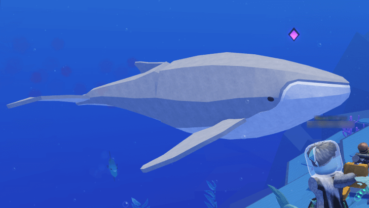 #Whale - Albino