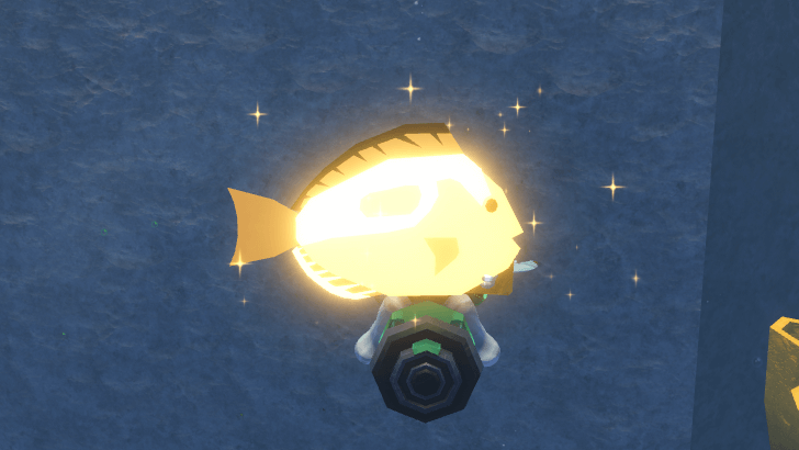 #Blue Tang - Angelic