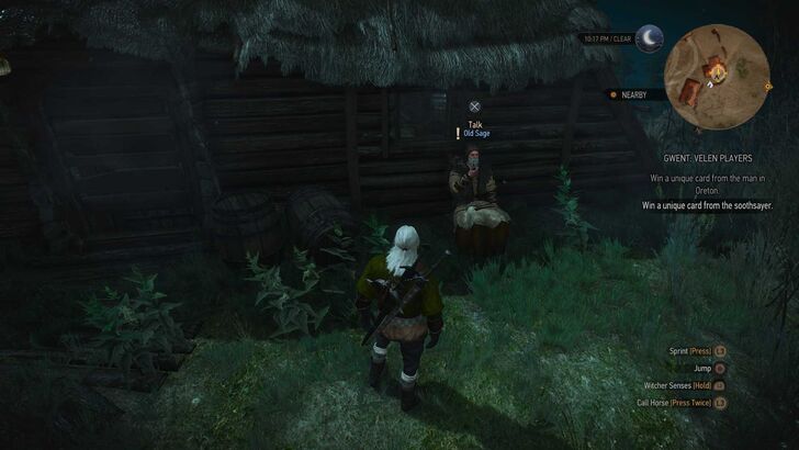 Old Sage at Benek.jpg