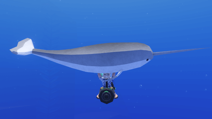 #Narwhal - Albino