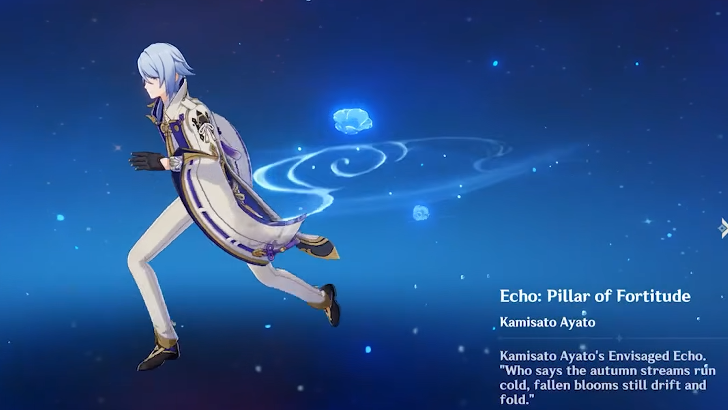 Genshin Impact - Ayato Envisaged Echoes