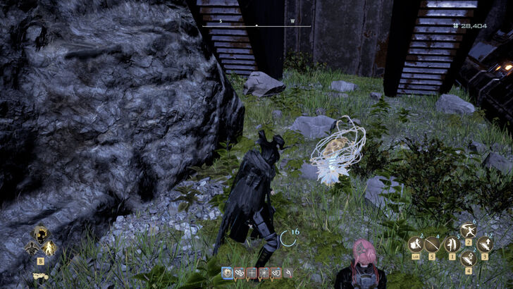 Golden Nectar 43 Location