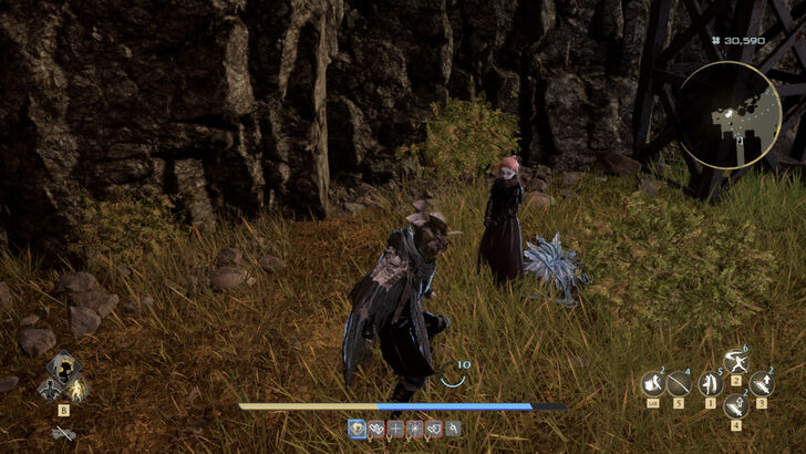 Golden Nectar 44 Location