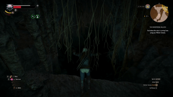 Dive into the Waters