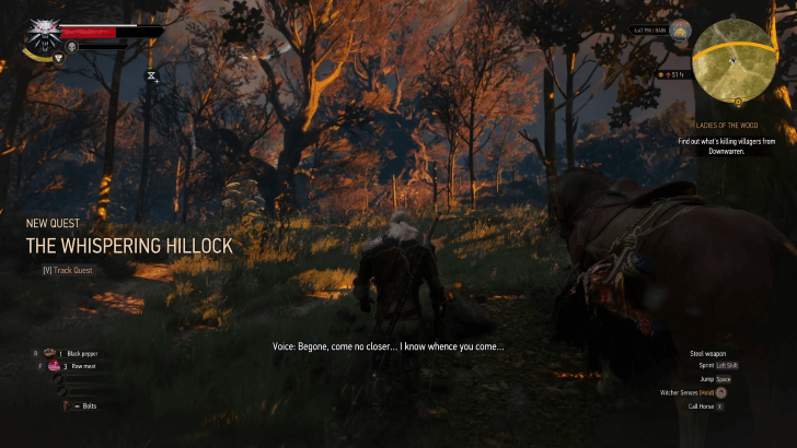 Approach the Ancient Oak