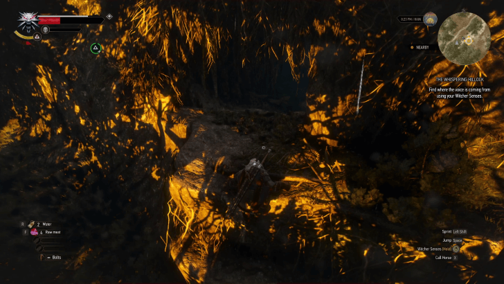 Find the Cave Entrance