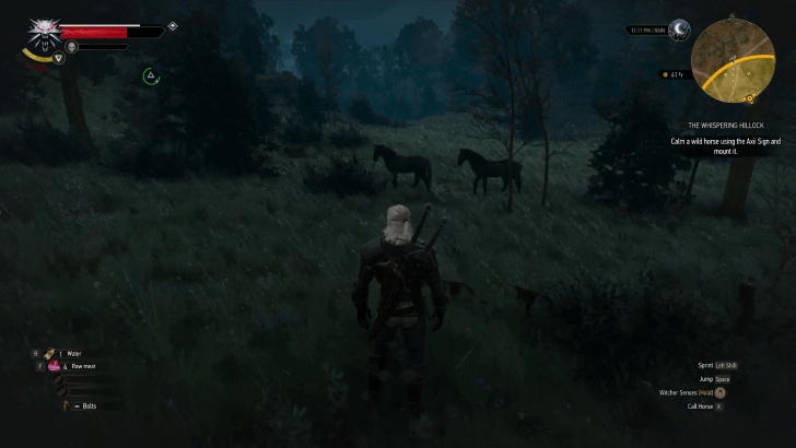 Head South to Find Horses