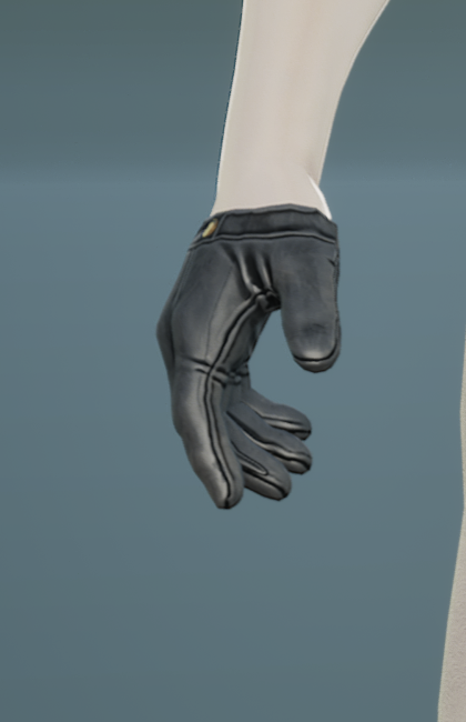 Gloves 2
