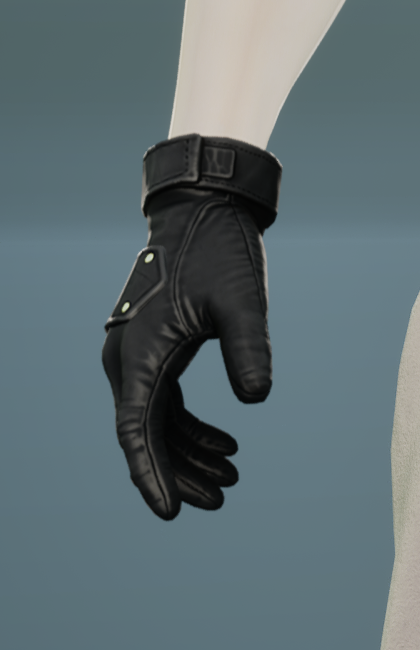 Gloves 6