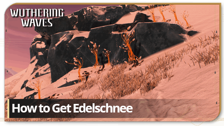 Wuthering Waves 3.1 - How to Get Edelschnee