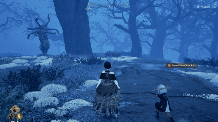 Tender Crimson Stone 5 Location