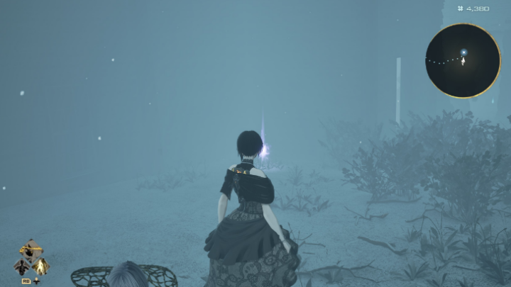 Tender Crimson Stone 3 Location