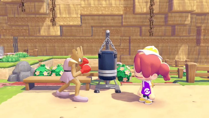 Hitmonchan and Ditto in Pokemon Pokopia