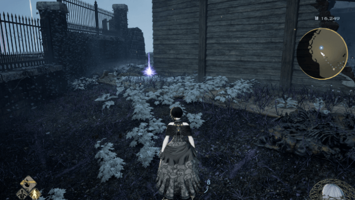 Tender Crimson Stone 7 Location