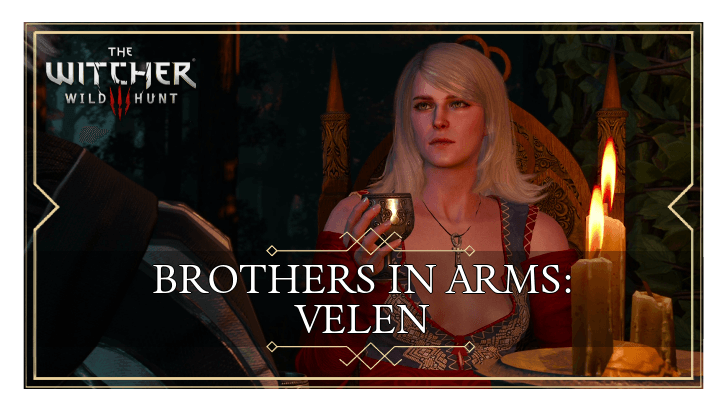 The Witcher 3 Brothers in Arms Velen Walkthrough
