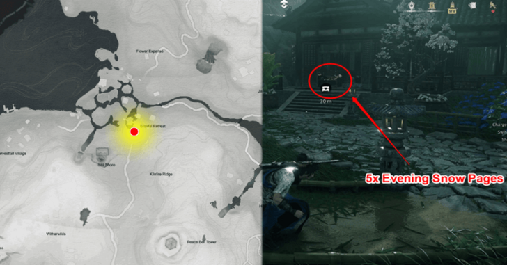 ,Evening Snow Legacy Clue 1