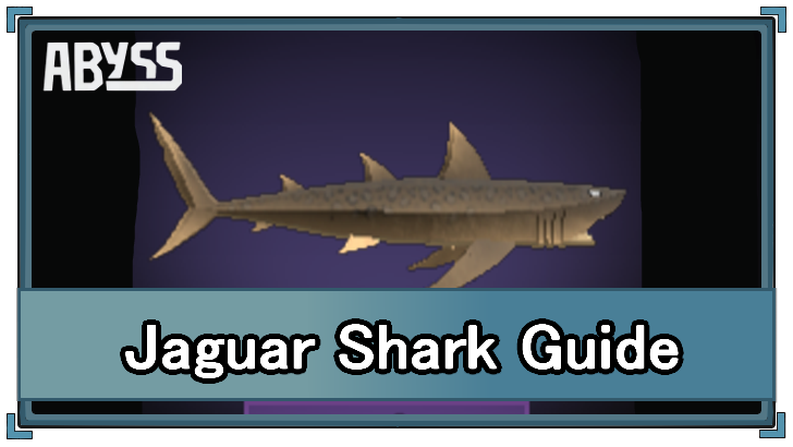 Jaguar Shark Guide