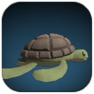 #Sea TurtleImage