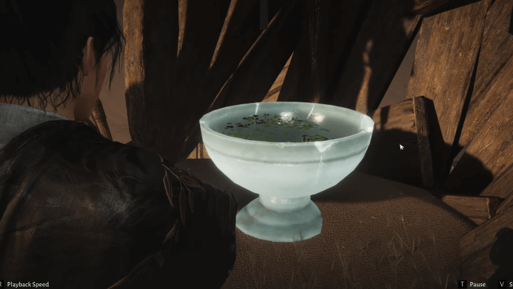 Investigate the Fish Tank