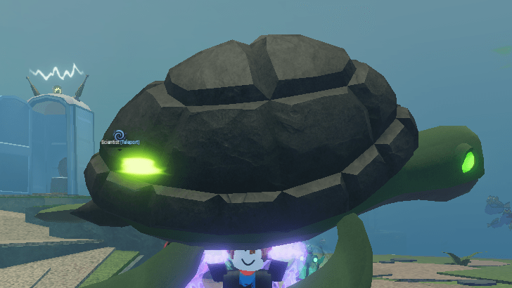 #Sea Turtle - Grounded