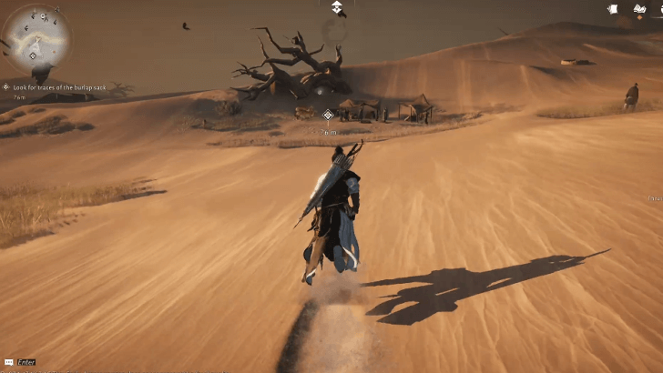 Approach Deciduous Tree