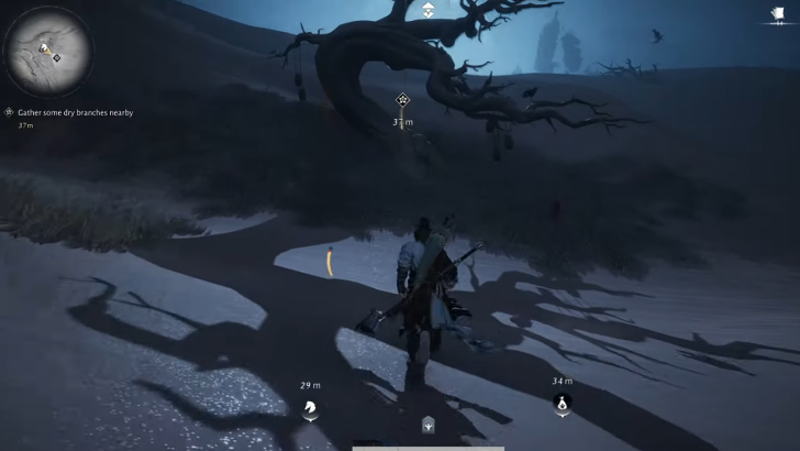 Gather Some Dry Twigs Around the Tree