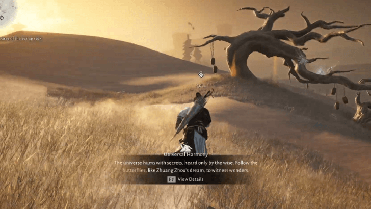 Go to the Tree with Hanging Pots