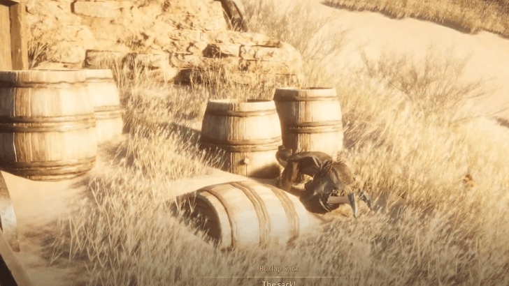 Follow the Fox to Look for the Sack