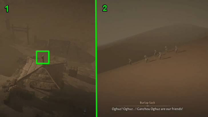 Examine the Bird on Top of Hut