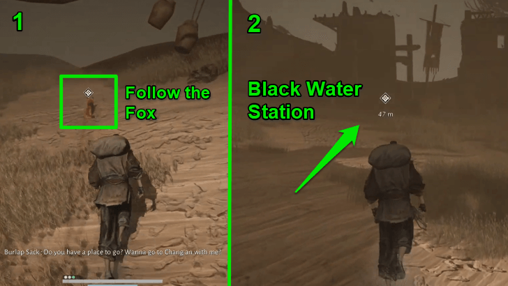 Follow Fox to Black Water Station