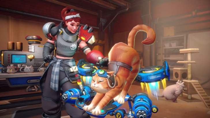 overwatch cat