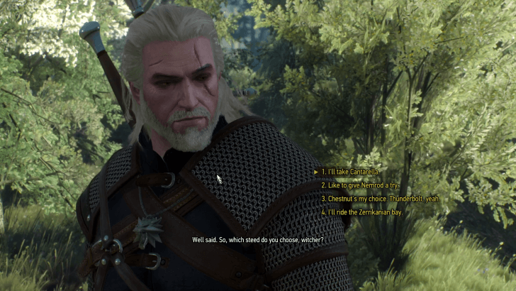 Which Horse to Pick Decision