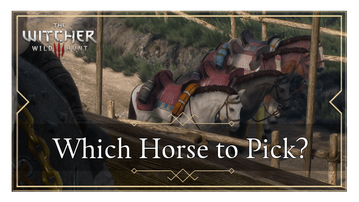 The Witcher 3 Wild Hunt - Which Horse to Pick