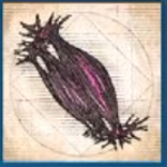 FF16 - Living Tissue