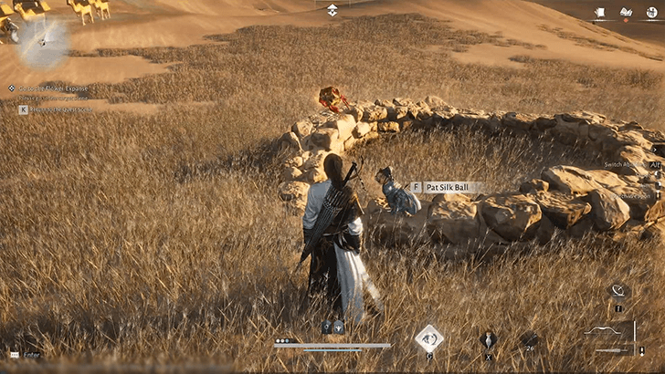 Sand-Skiing Challenge