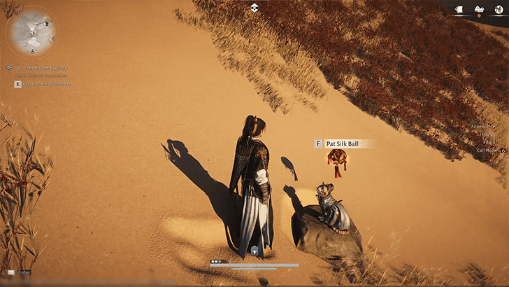 Sand-Skiing Challenge