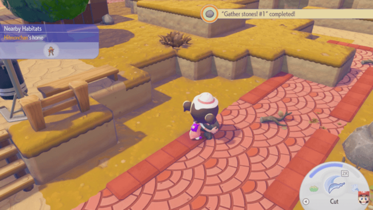 Pick Up Items From the Ground