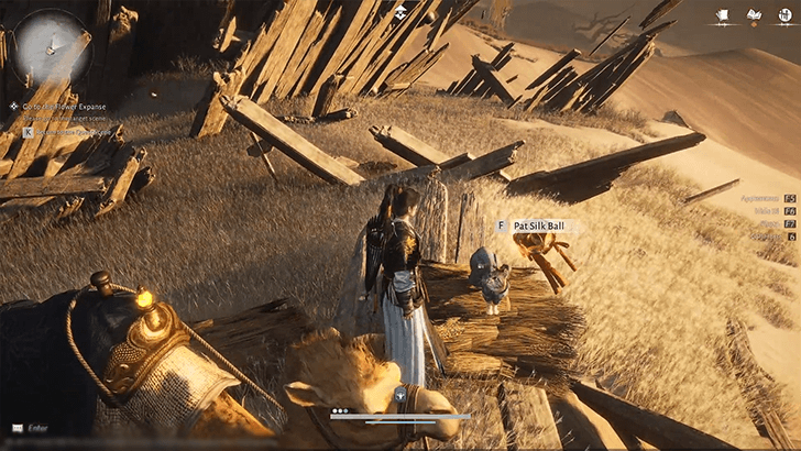 Sand-Skiing Challenge