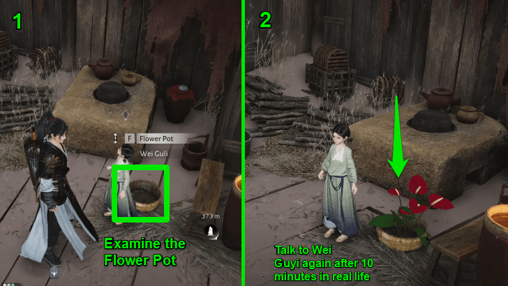 Examine the Flower Pot