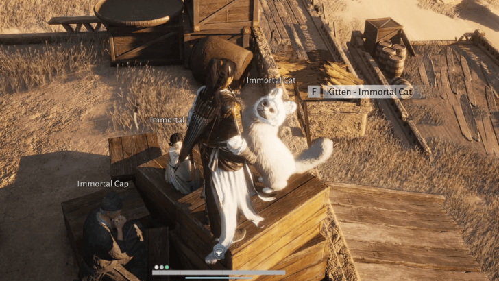 Kitten: Immortal Cat