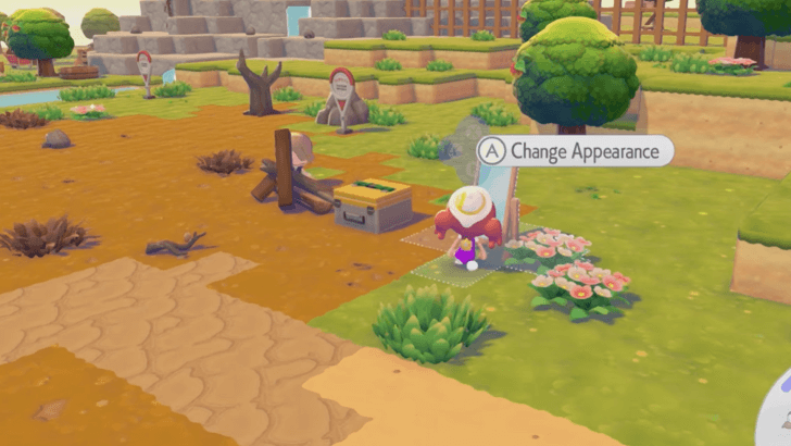 Change Appearance Using a Mirror