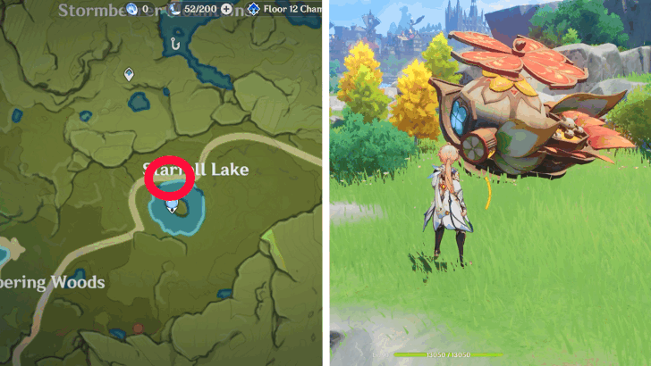 Starfell Lake Discrepancy - Choo-Choo Cart