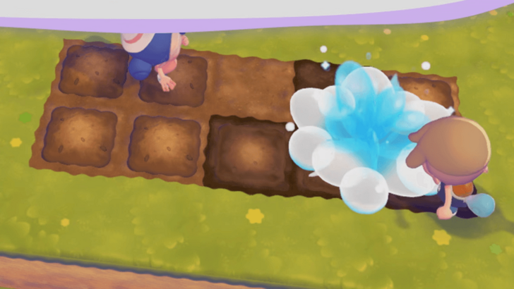 Water Planted Seeds to Grow Crops