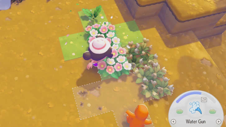 Water Gun Cross Pattern