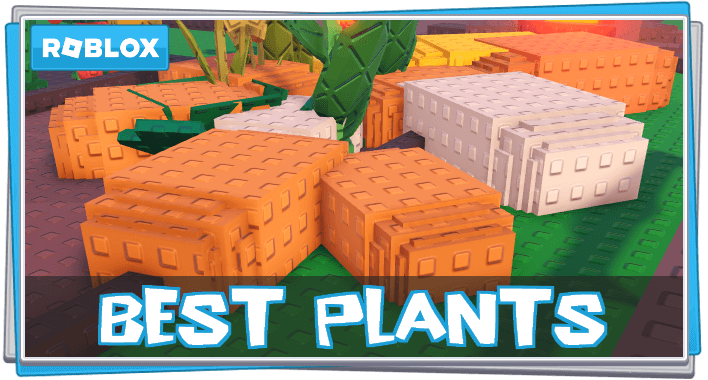 Best Plants to Grow