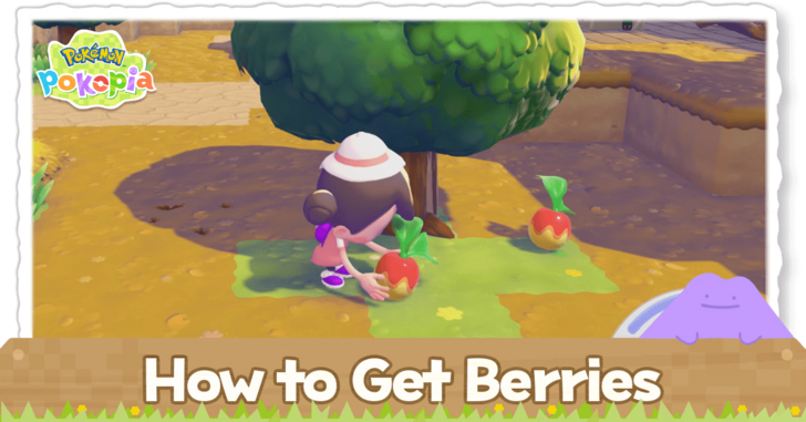 Pokemon Pokopia - How to Get Berries