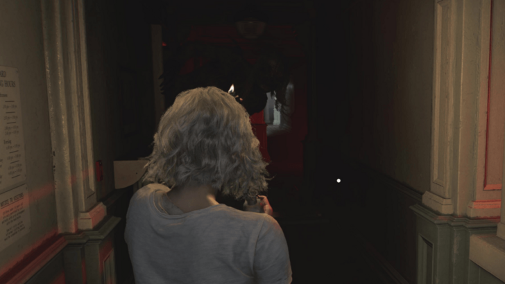 Shadow Ghost Camping the Hallway