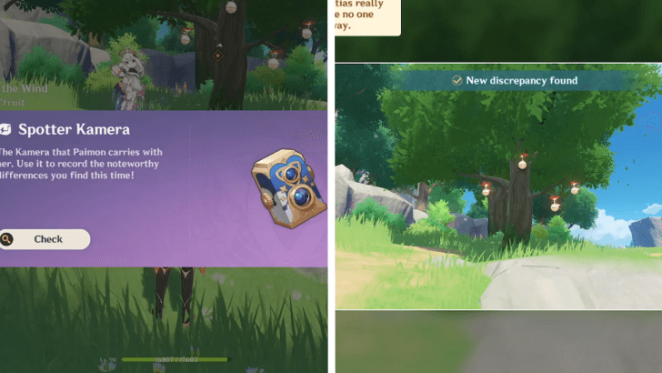 Genshin - Take a Picture of the Discrepancy